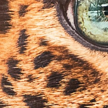 100% zoom of the same area after compression