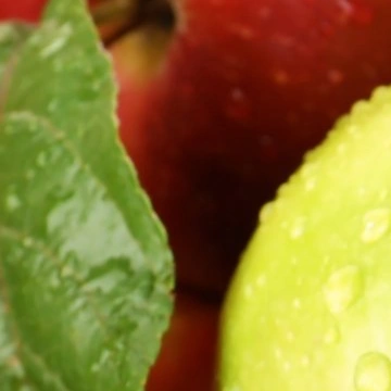 100% zoom of the original apple photo